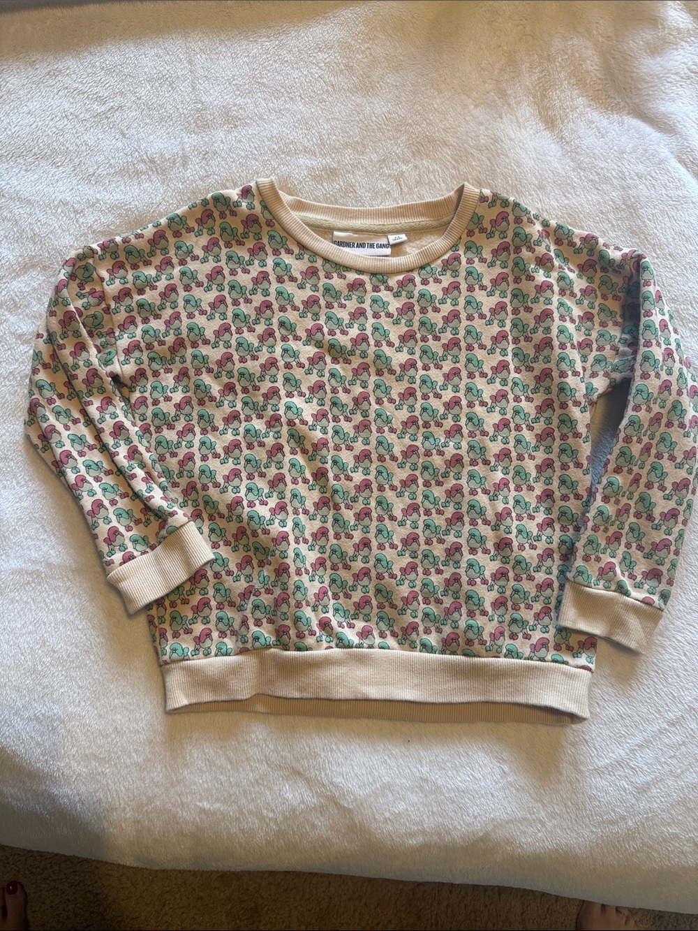Cream Sweatshirt with Pink & Teal Poodle Print